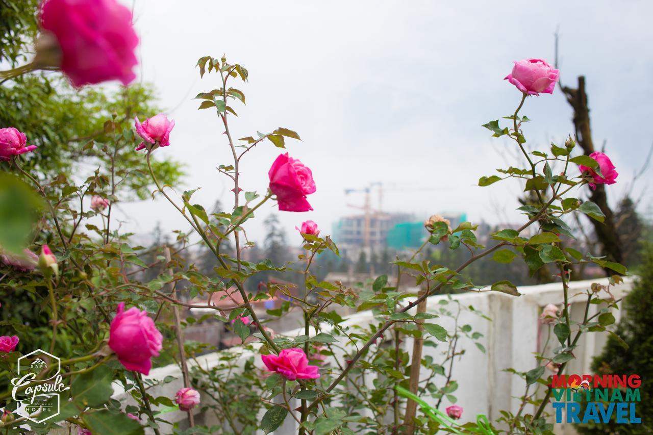 Sapa Capsule Hotel Exterior foto